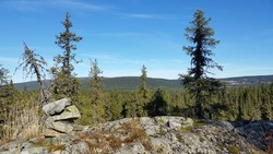 Sjøsæteråsen