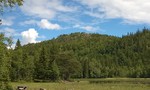 Gyrihaugen