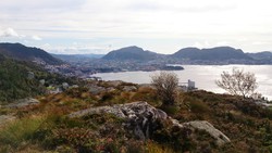 Rognåsen