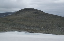 Nonshøe