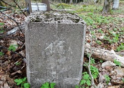 Bystein 46