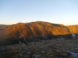 Røseknuten
