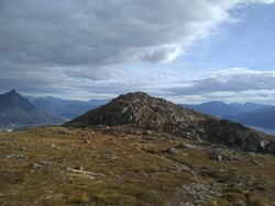 Grøthornet