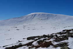 Bjørnahøi