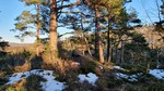 Nordvest for Gravtjennåsen