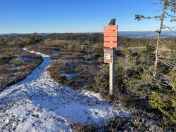Rykkjashøgda