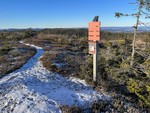 Rykkjashøgda