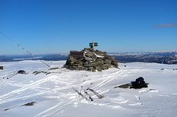 Storhavren