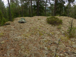Jonsokhøgda