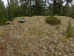 Jonsokhøgda