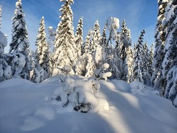 Ullernåsen