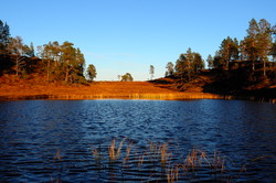 Løålikjølen