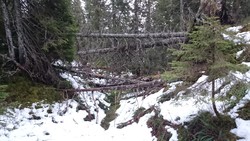 Seteråsen