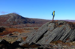 Hundåskarven