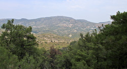 Sperioli