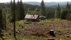 Kringlervangen
