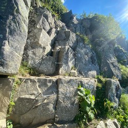 Czarny Dziób