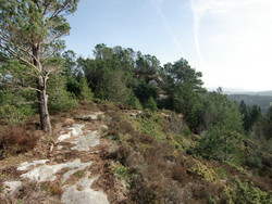 Eikelandshøyen