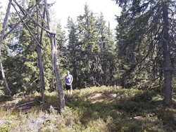 Sæterberget