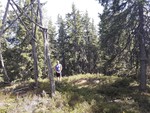 Sæterberget