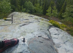 Rughaugen