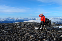 Gruvnebba