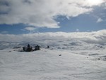 Kreklingdyreggi