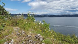 Rambergøya