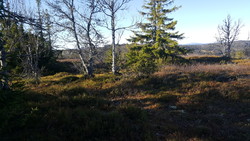 Gaustumseterfjellet vest