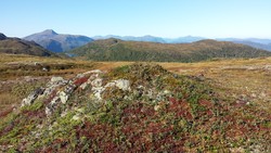 Vassfjellet