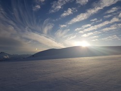 Steinbergskarlian