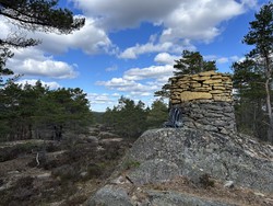 Riksrøys F