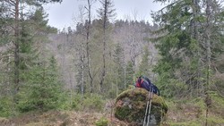 Søndre Skarva