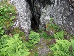 Franskhelleren