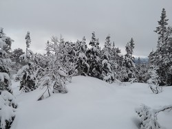 Krogstadhaugen