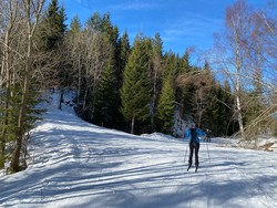 Tvilern