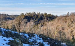 Vestre Grasås