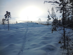 Nord for Gjerdvikskampen