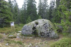 Torshovgråen