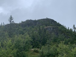 Halvfarsnibba