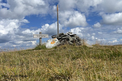 Larvehei