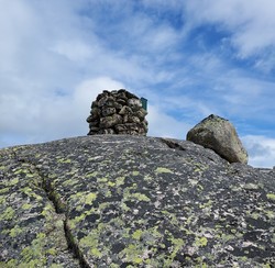 Tjørneheii
