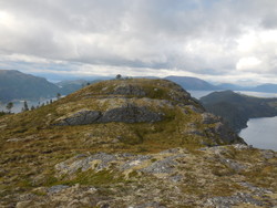 Bustliknubben