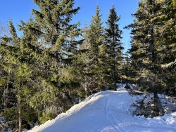 Ringvollåsen