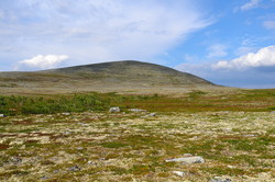Flenskampan Vestre