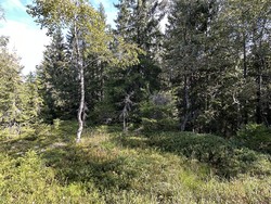 Seterberget