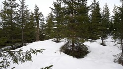 Møkkelåsen