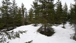 Møkkelåsen