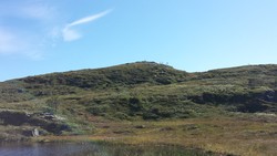 Fosnahøgdin vest