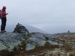 Vollrandane
